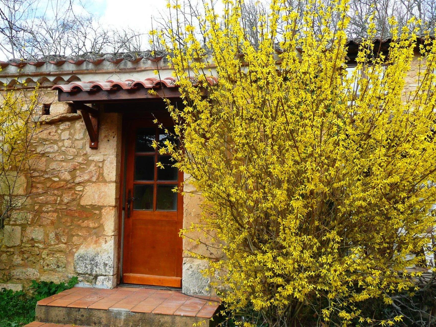Villa Domaine De Gavaudun Zimmer foto